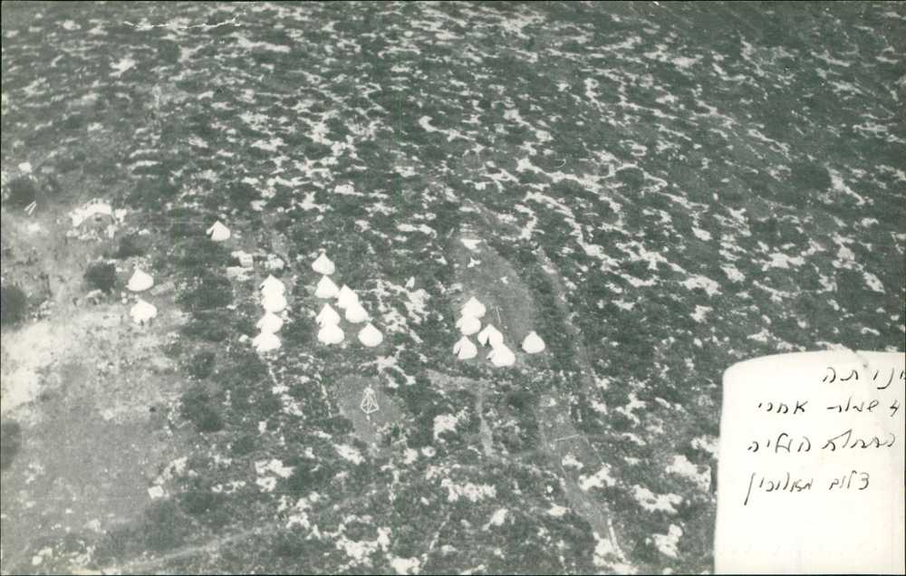 m 353 2021 3 1